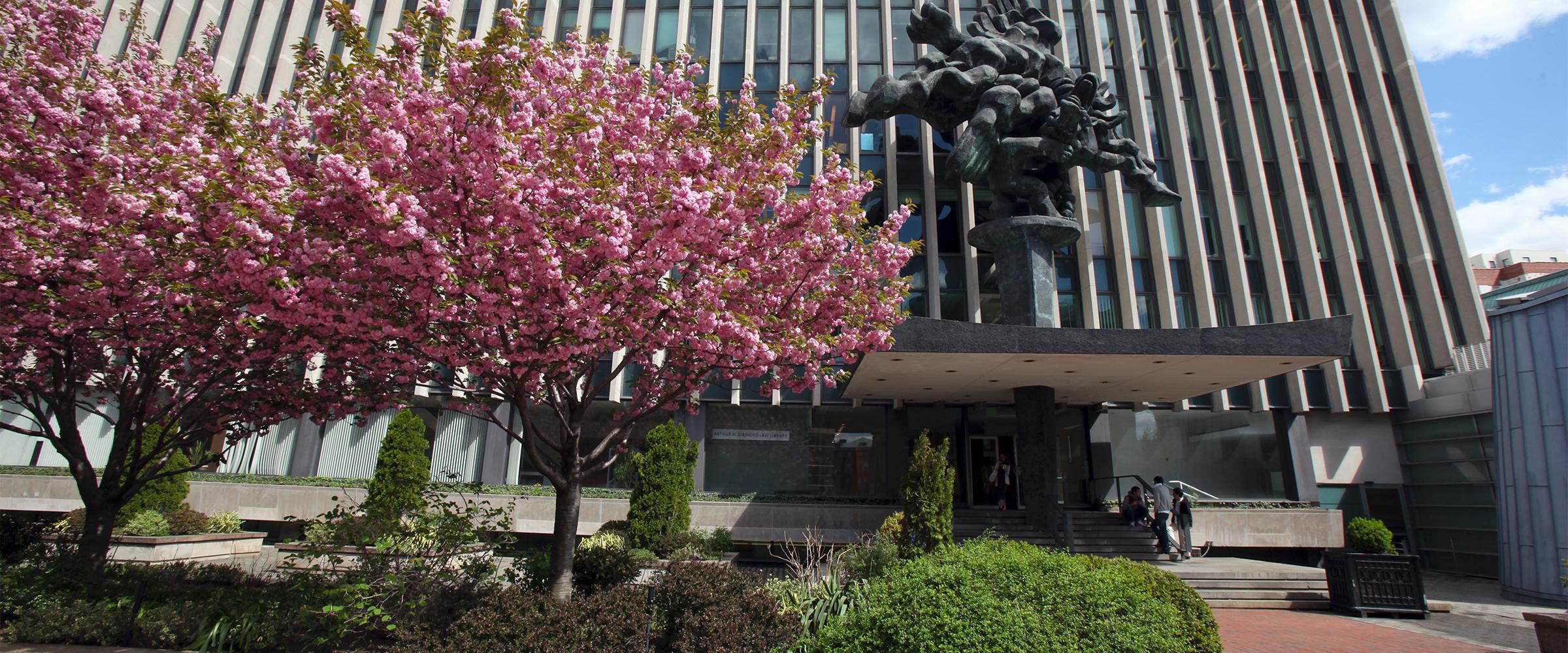 Arthur W. Diamond Law Library | Columbia Law School