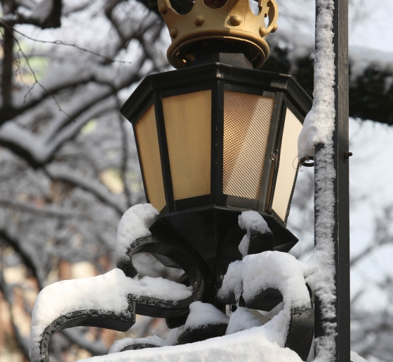 The crown-shaped finial of a wrought iron fence is covered in snow.