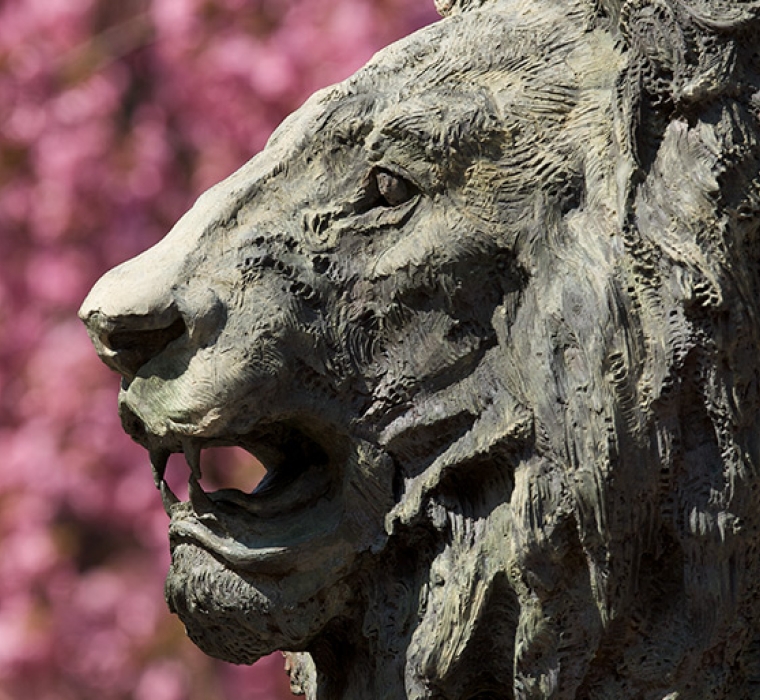 The Columbia lion in front of cherry blossom flowers